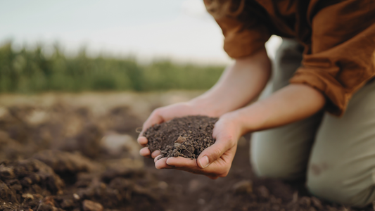 The Secret to Healthy Soil