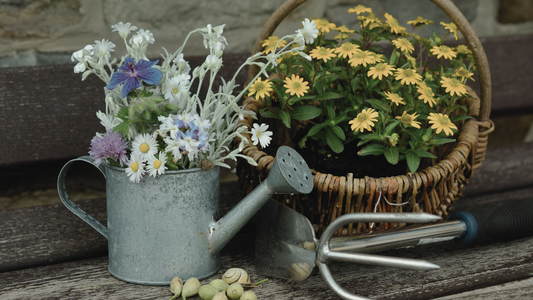 Spring Gardening Guide: Cultivating Your Garden's Renewal