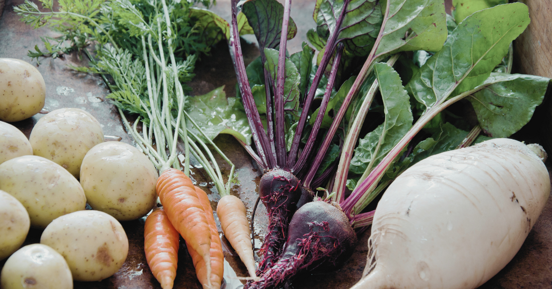 Why Homegrown Food is Better: Unlocking Nutrient-Dense, Flavorful Harvests from Your Garden