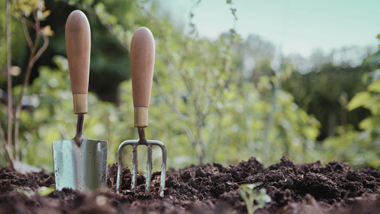 Seasonal Splendor: Mastering Year-Round Gardening in Zone 7b