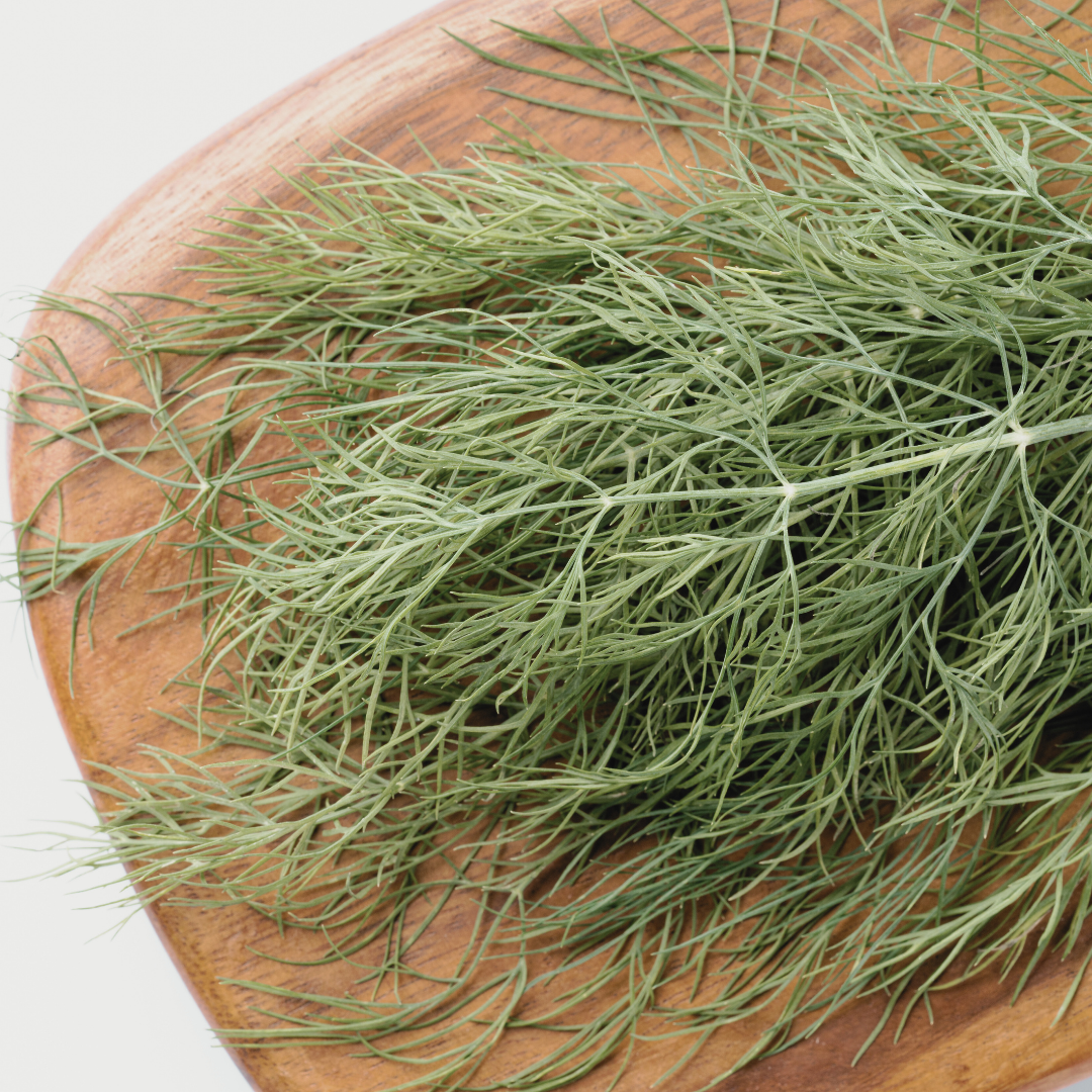 Dill 'Bouquet' Seed