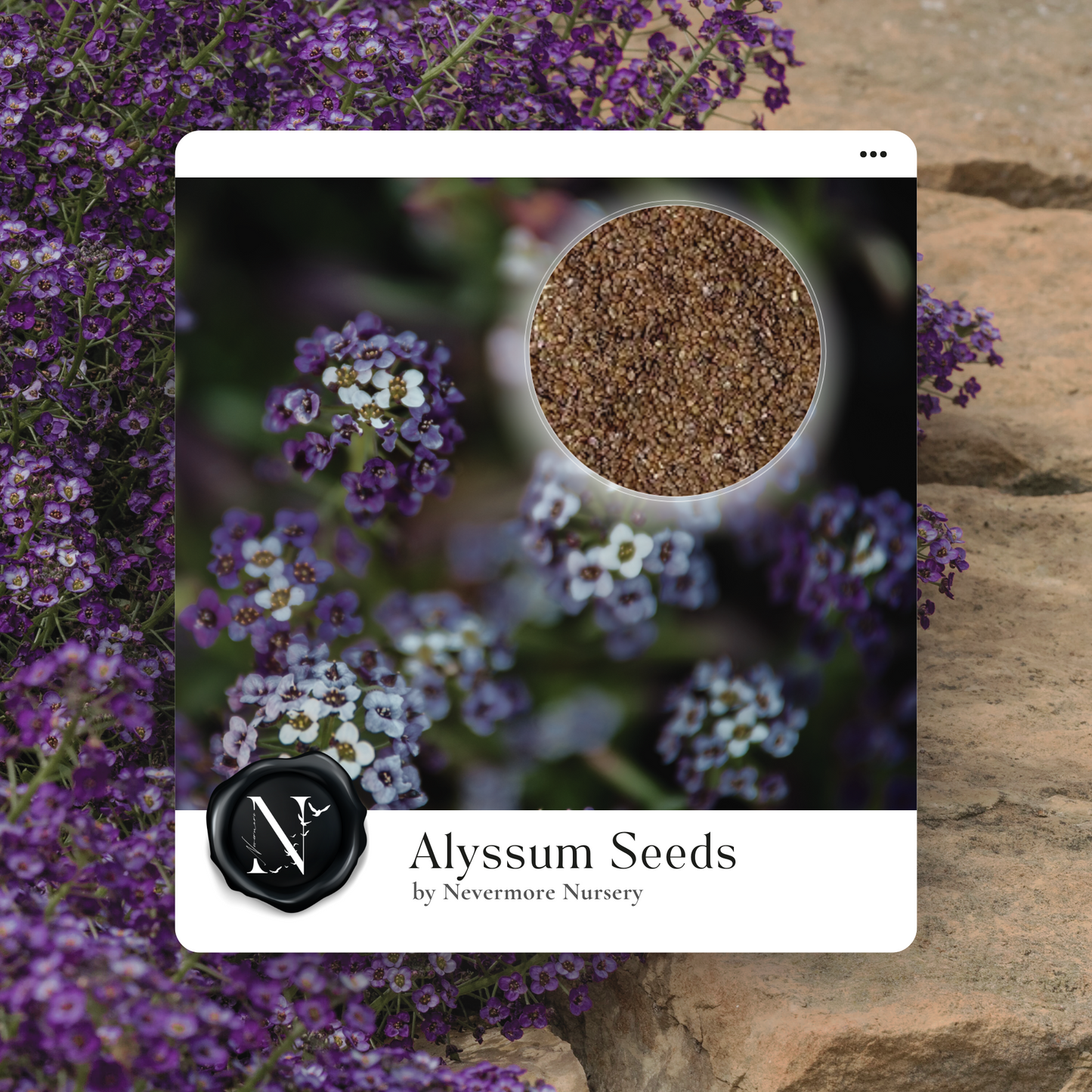 Alyssum 'Oriental Nights' Seed