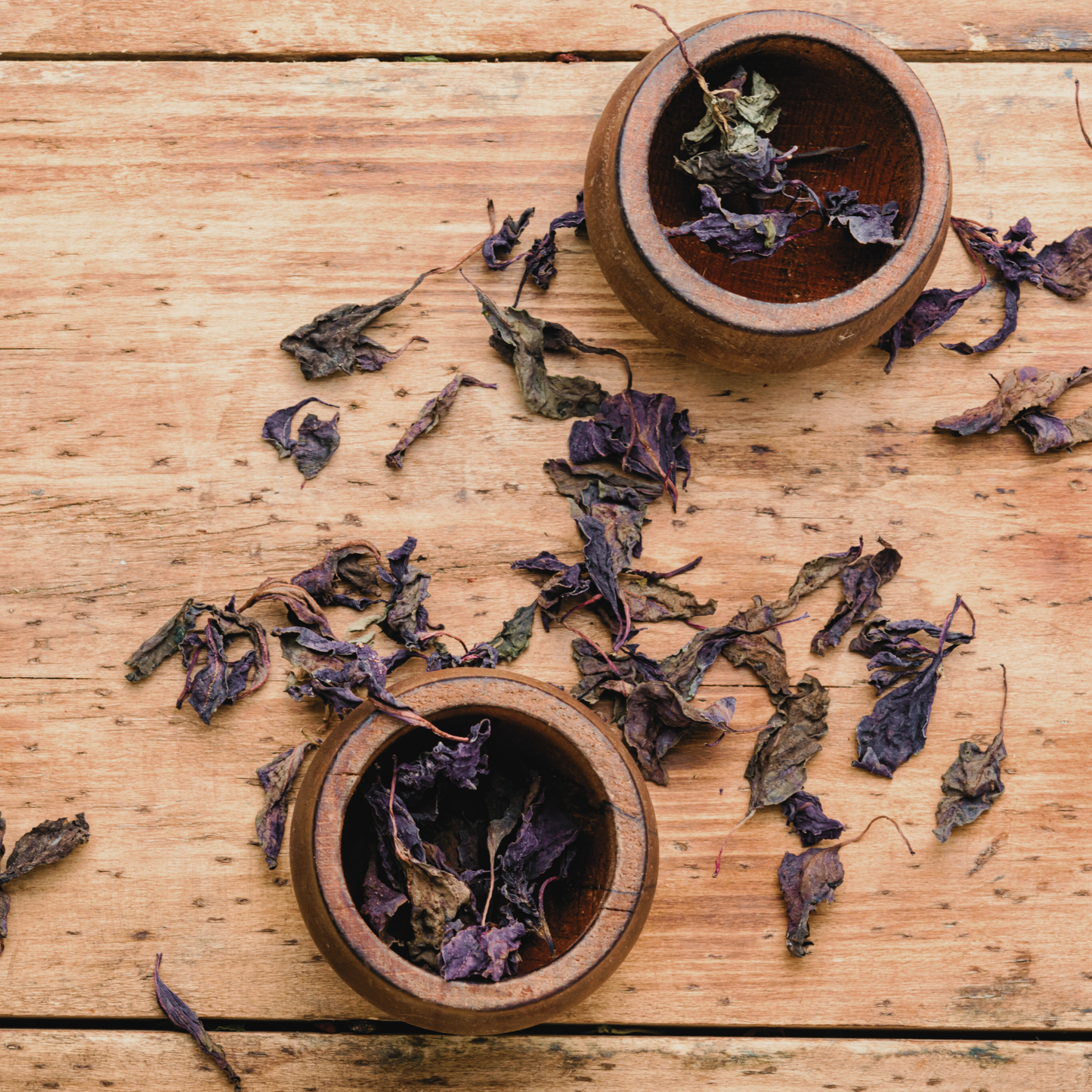 Persian Basil Dried Herb