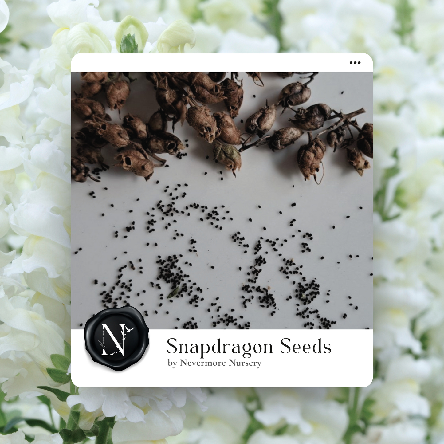 Snapdragon 'Snowflake' Seeds