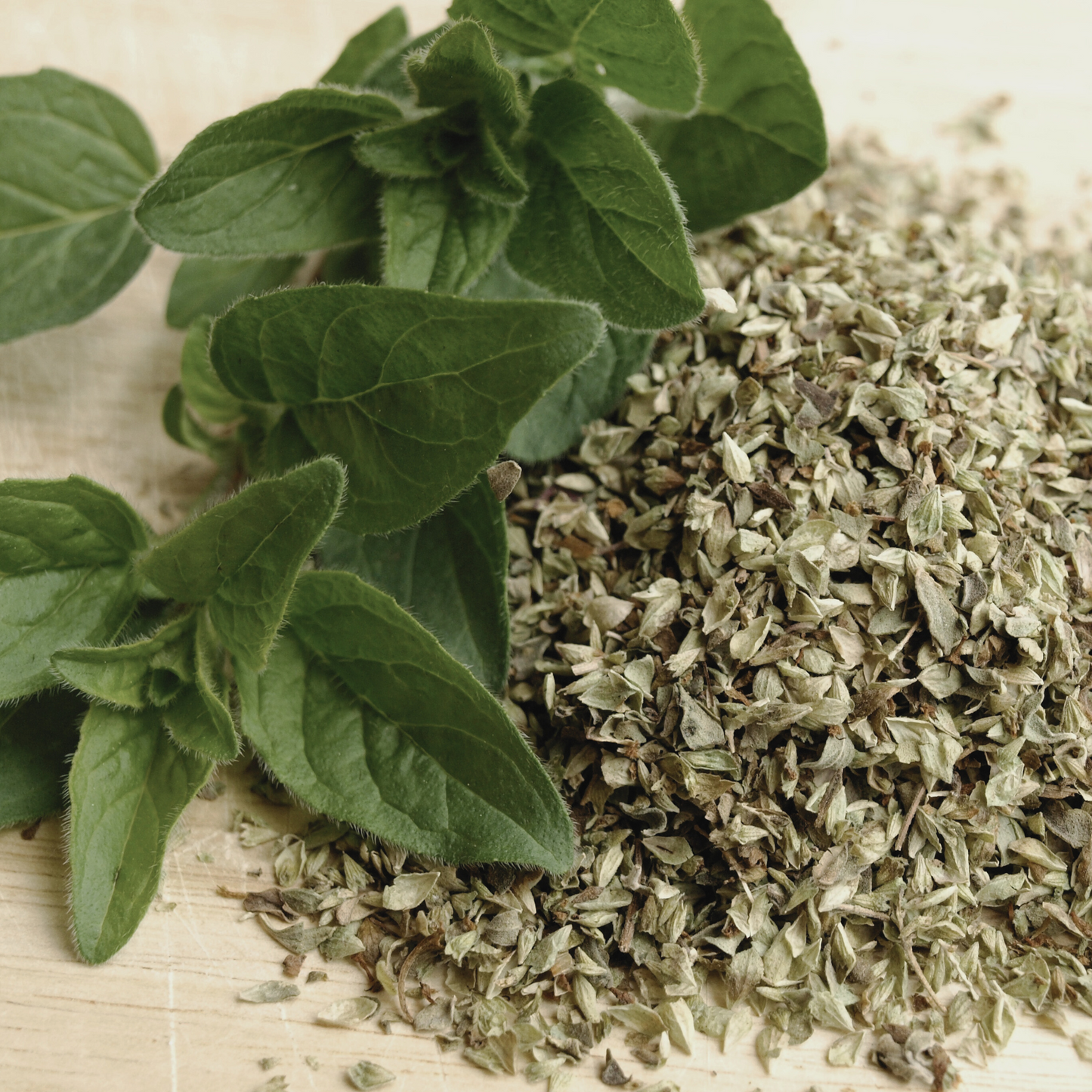 Oregano 'Greek' Seed