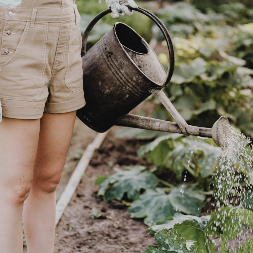 A girl watering her garden. 