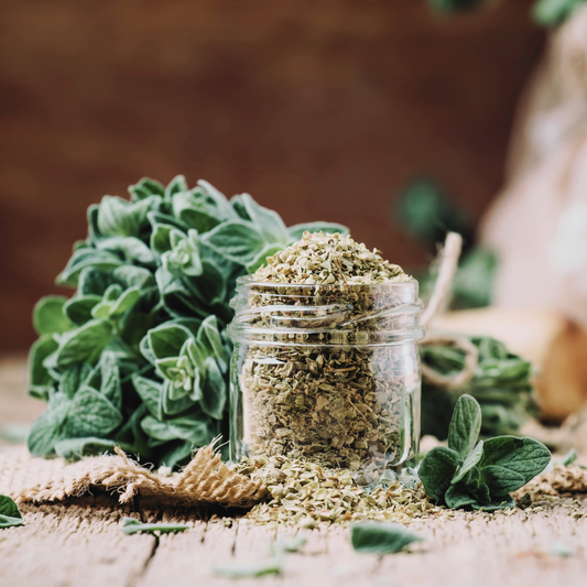 Oregano 'Wild Za'atar' Dried Herb