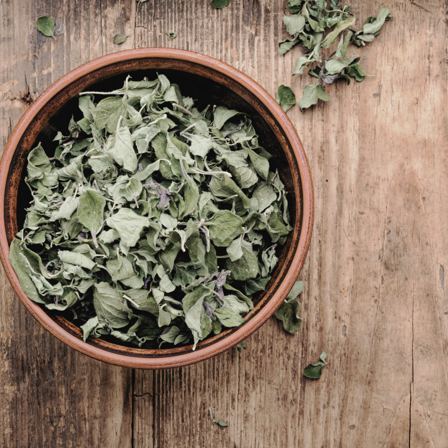 Oregano 'Wild Za'atar' Dried Herb