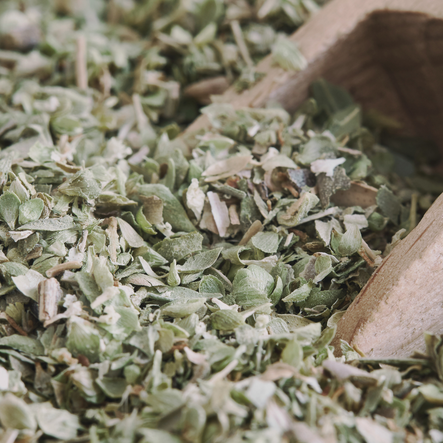 Oregano 'Wild Za'atar' Dried Herb