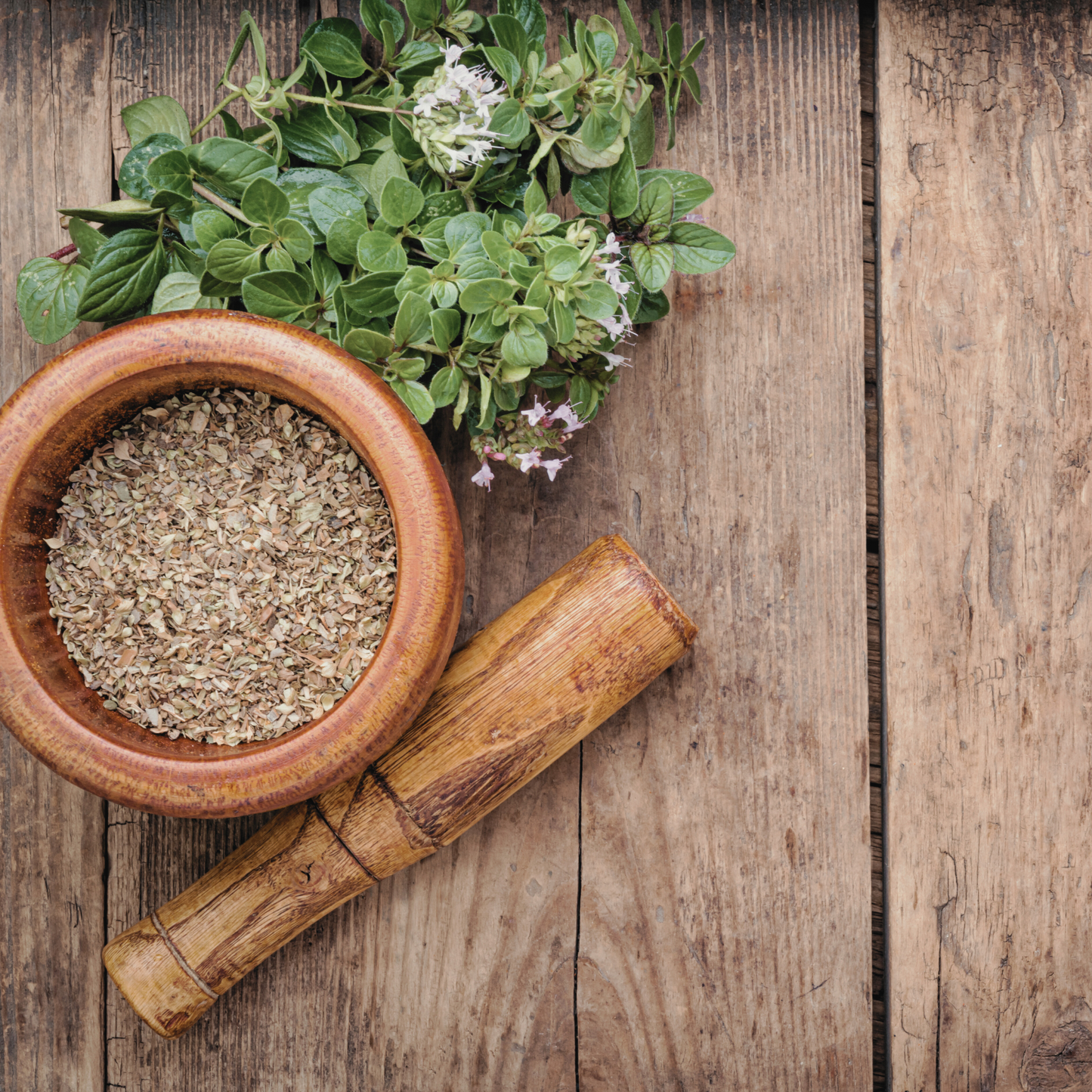 Oregano 'Wild Za'atar' Dried Herb