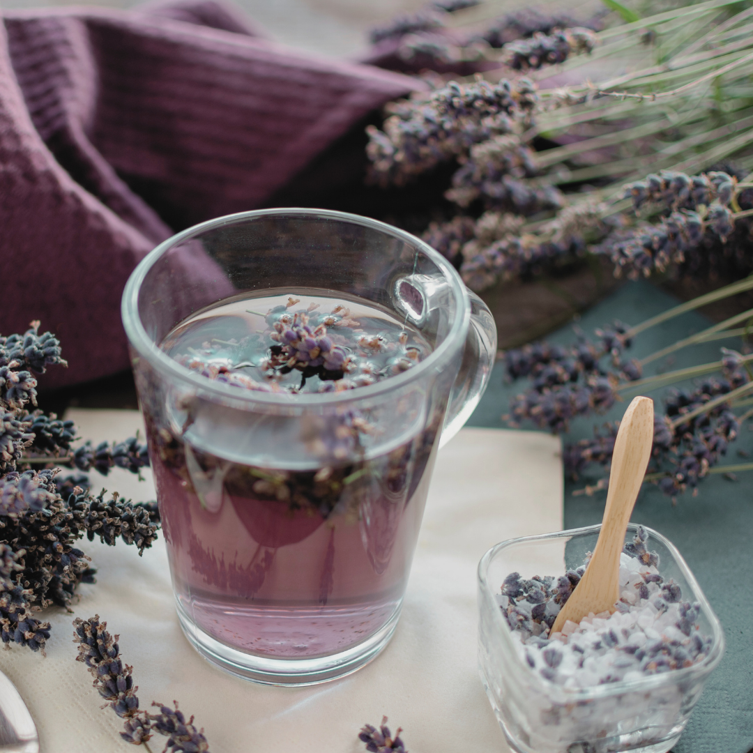 Lavender tea prepared with fresh Lavender 'English' flowers and leaves harvested from the plant, arranged on a table. The soothing tea and fragrant herbs are highlighted in this natural, calming setting.